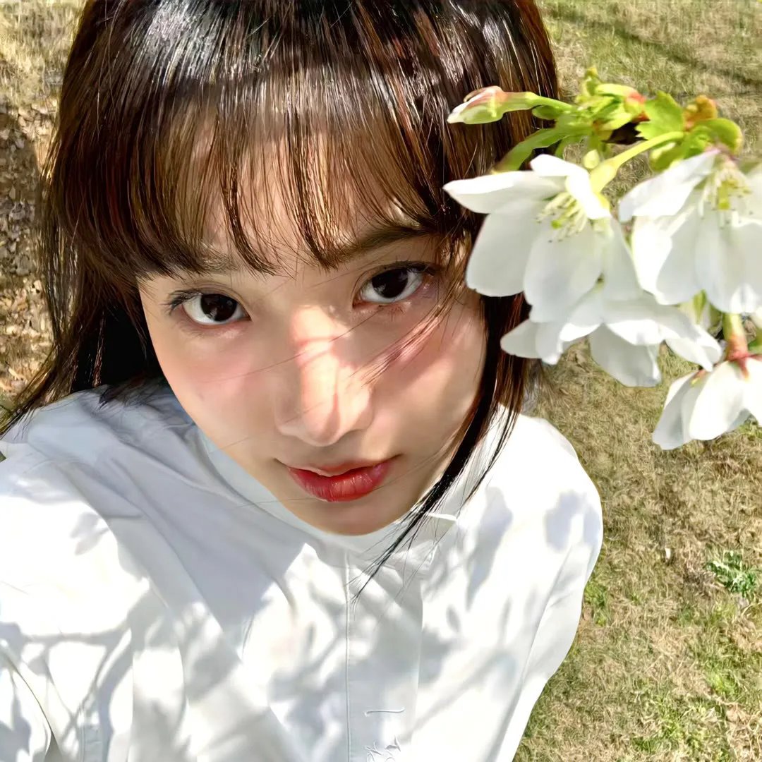 女导与强盗在线观看