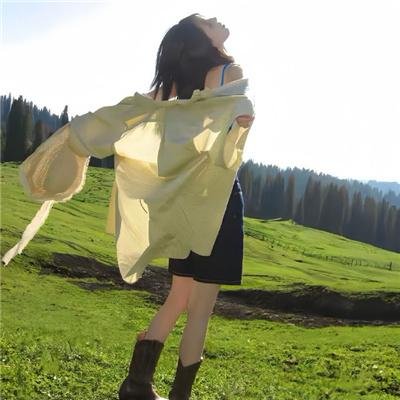 冰雪小尖兵在线观看