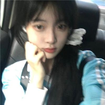 为什么猫都叫不来在线观看